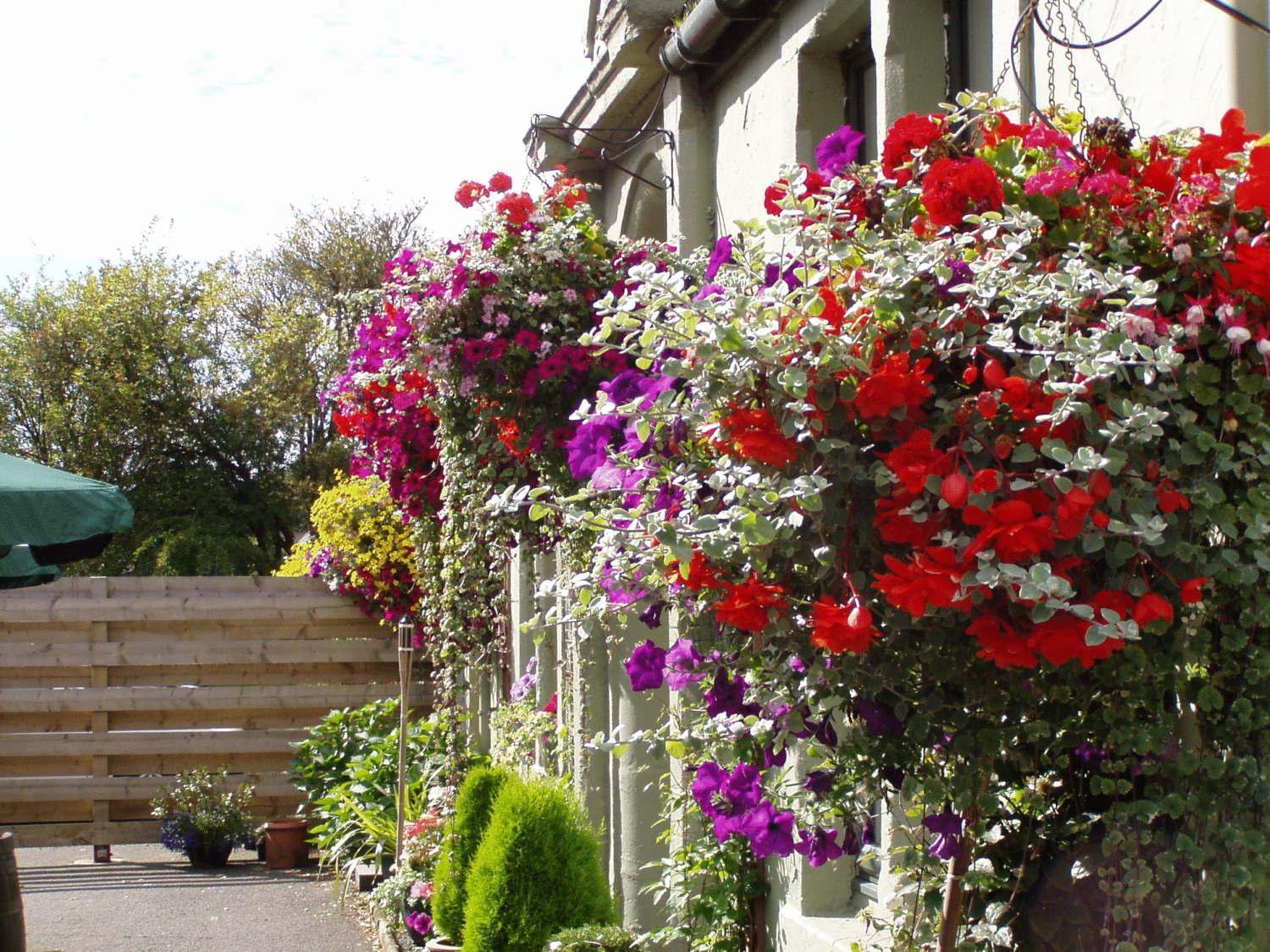 Auld Mill House Hotel Dunfermline Luaran gambar
